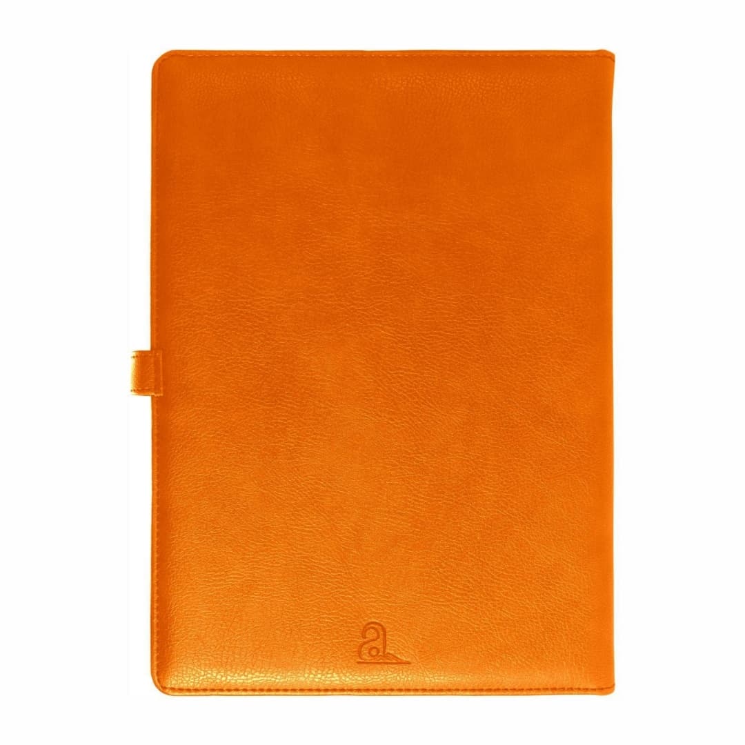 Anupam Crest Diary 2025 B5 (80 GSM) Tan