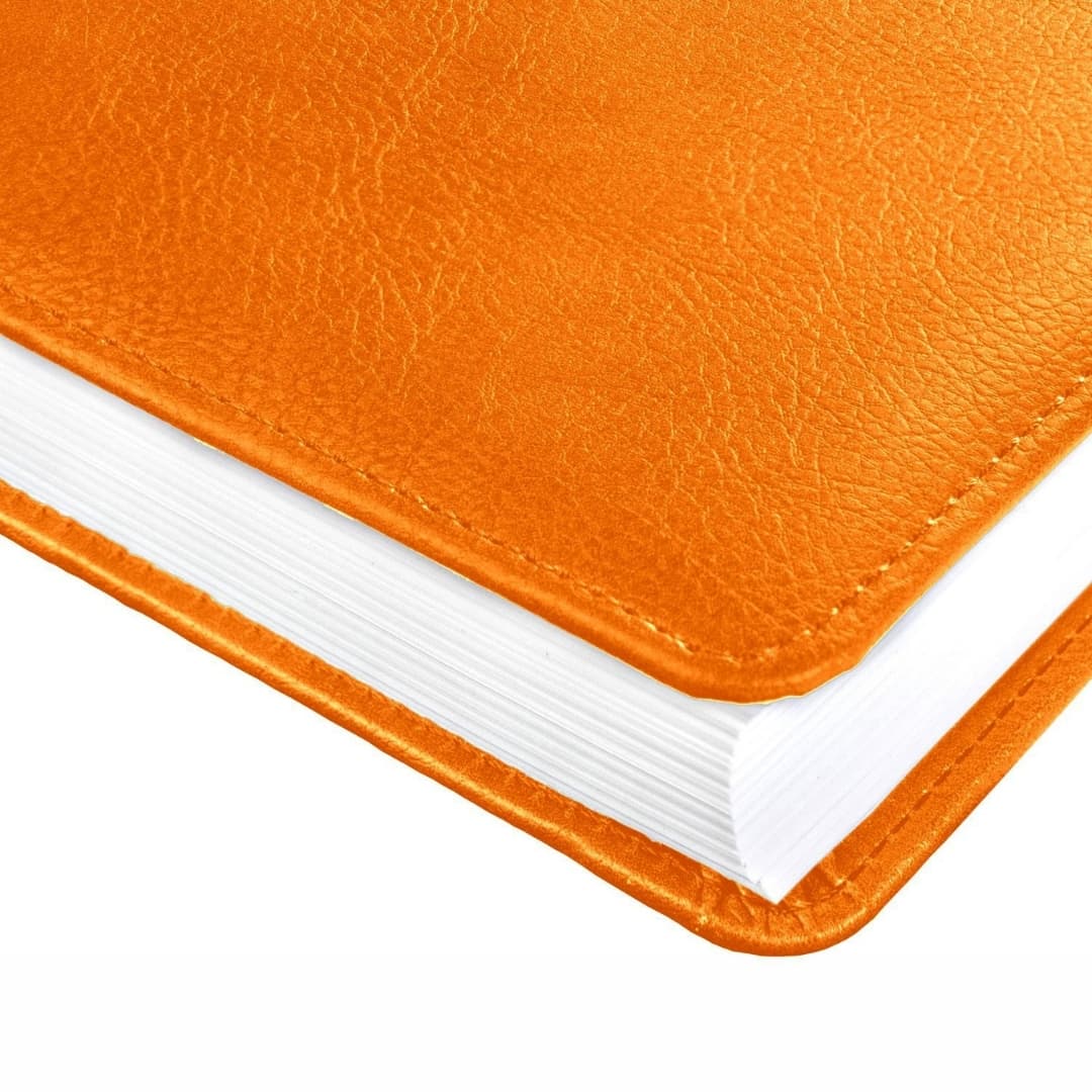 Anupam Crest Diary 2025 B5 (80 GSM) Tan