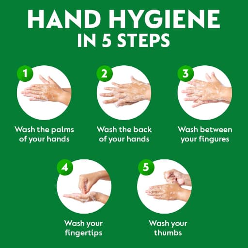Dettol Original Germ Protection Handwash Liquid 200Ml