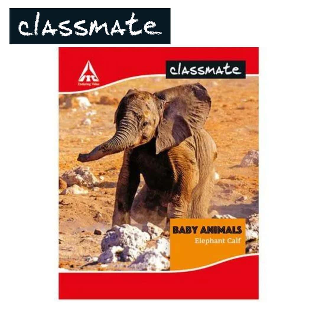 Classmate Soft Bounded Double Line Note Book 172Pg (190X155mm)